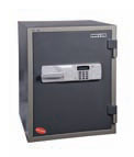 Hollon Safe HDS-750E Data Safe