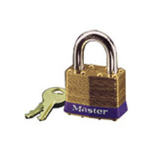Master Lock 2D Padlocks
