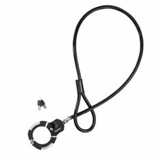 Master Lock 8295DPSCC Quantum Cuff