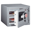 Sentry Home Safes