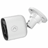 Item Image - Alternative