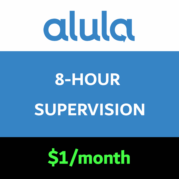Alula 8-Hour Alarm Communicator Supervision Test Services