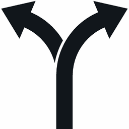 DIY Home Dual-Paths