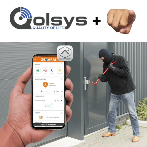 Qolsys Burglary Intrusion DIY Business Alarm Monitoring Services
