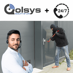 Qolsys Burglary Intrusion Non-Interactive Business Alarm Monitoring Services