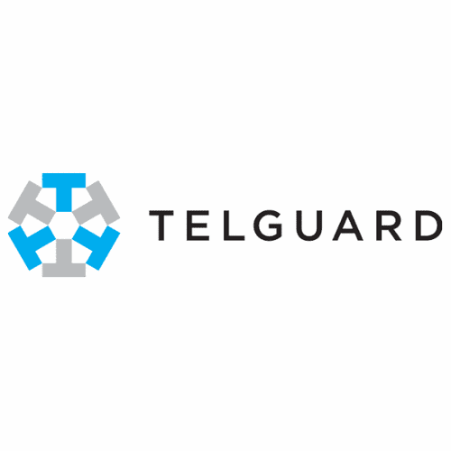 Resideo PRO Burglary Intrusion Non-Interactive Dual-Path Business Alarm Monitoring Services (Powered by Telguard Communicators)