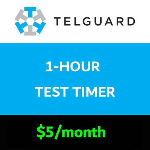 Telguard 1-Hour Test Timer Services