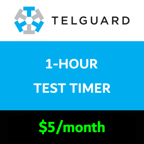 Telguard 1-Hour Test Timer Services