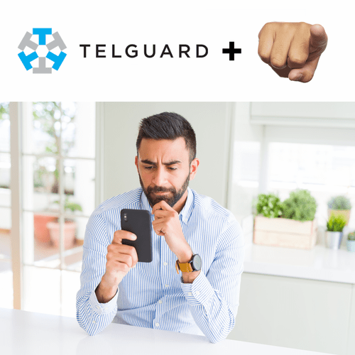Telguard Burglary Intrusion DIY Alarm Monitoring Services