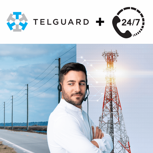 Telguard PRO Basic Non-Interactive Dual-Path Home Security