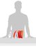 BEMA Adult Float Bands BEMA Adult Float Bands