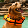 Aquatic Therapy for Dogs