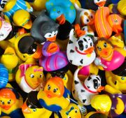 Assorted Rubber Ducks