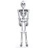 Big Bones 6ft Skeleton Big Bones 6ft Skeleton