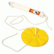 Bouncy Disc Swing