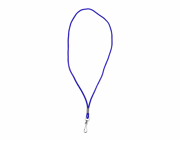 Budget Lanyard