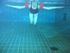 Delphin Adult Swim Bands Delphin Adult Swim Bands