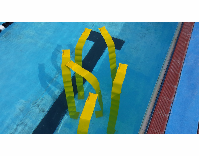 Dive Reeds
