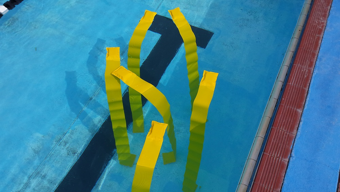 Dive Reeds