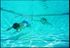 Dolphin Slalom Set Dolphin Slalom Set