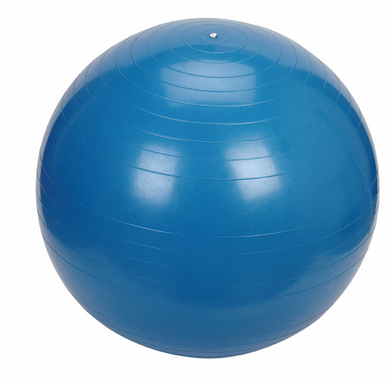 Exercise Ball - 55cm