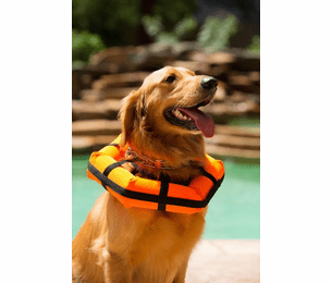 Hedz UP Pets Watercollar thumbnail