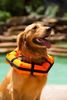 Hedz UP Pets Watercollar
