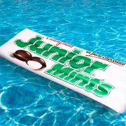 Officially Licensed Giant Box of Junior Mints Candy Pool Float