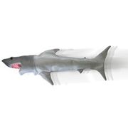 Shark Toss