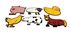 Sinking Farm Animal Pool Markers Sinking Farm Animal Pool Markers