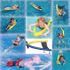 Sprint Aquatics Technical Trainer Sprint Aquatics Technical Trainer