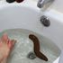 The Floater