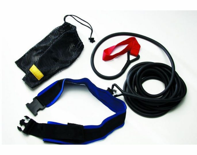 Training Leash