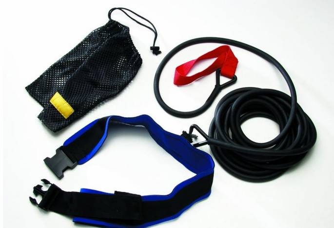 Training Leash