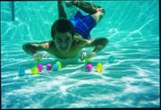 Turtle Egg Diving Game