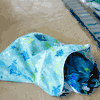 Wet and Dry Travel Bag