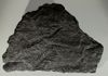SOUTHERN EUROPE: Late Carboniferous (323-299 Million BCE) Fossil ferns. *pending*