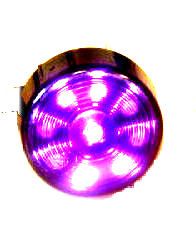 2" Round Starburst Purple Led Light