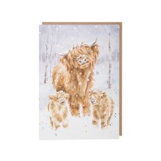 'A Highland Christmas' Highland Cow Advent Calendar Card