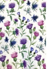 Samuel Lamont Scottish Thistles Tea Towel  - Coming Christmas 2025 BWI