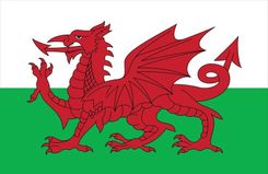 Samuel Lamont The Welsh Dragon Tea Towel - Coming Christmas 2025 BWI