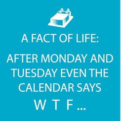 Calendars Says Cocktail Napkins