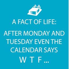 Calendars Says Cocktail Napkins