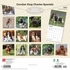 Cavalier King Charles 2027 12x12 inch Calendar - Coming Christmas 2026