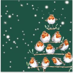 'Rockin Robins' Lunch Napkins 20pk