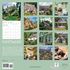 Cottages - 2026 - 12x12 inch Calendar Cottages - 2026 - 12x12 inch Calendar