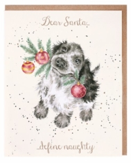 'Dear Santa…Define Naughty' Card 'Dear Santa…Define Naughty' Card