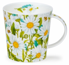 Dunoon Cairngorm Beautiful Bloom Daisies - 3 in stock