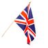 Flag on a Stick 1' x 1 1/2'