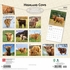 Highland Cows - 2027 - 12x12 inch Calendar - Coming Christmas 2026 Highland Cows - 2027 - 12x12 inch Calendar - Coming Christmas 2026